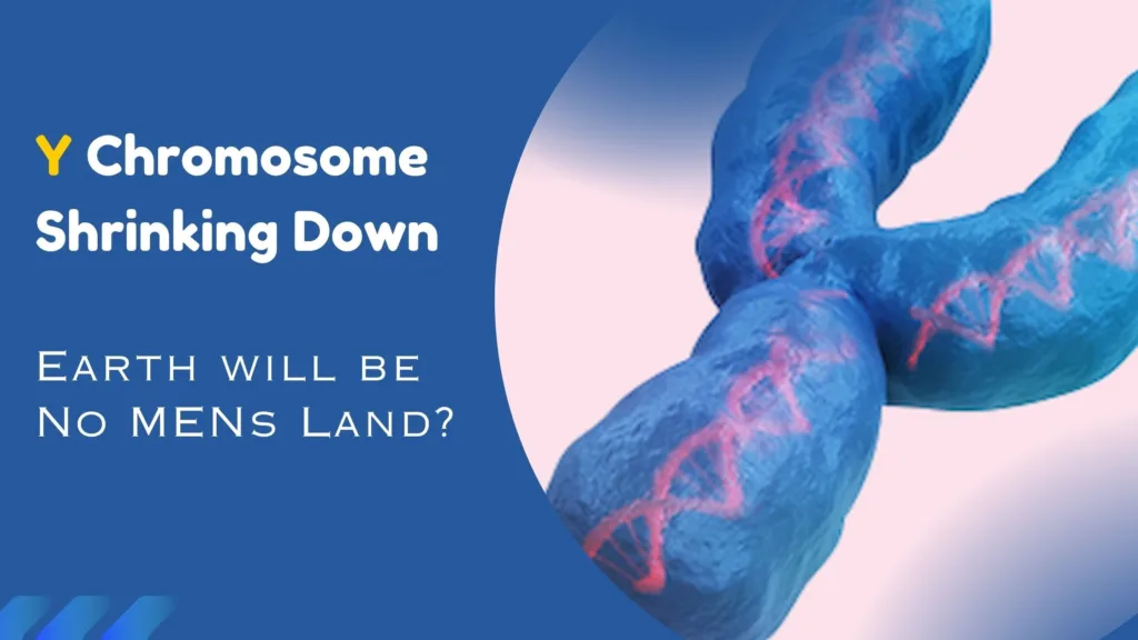 Y Chromosome Disappearing