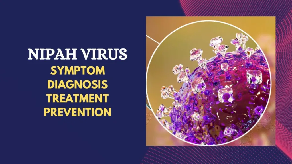 NIPAH VIRUS: SYMPTOM, DIAGNOSIS, TREATMENT AND PREVENTION